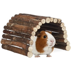 Relaxdays - Pont en bois rongeur, tunnel pour cage, hamsters, peut être plié, bois de chima, hlp 2x29x17cm, nature