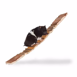 Relaxdays 10023889, Pont, Cochon d'inde, Hamster, Bois, Bois, 1 pièce(s), 550 mm