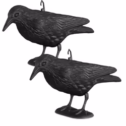 Votre jardin ne plait pas qu’à vous mais également aux autres oiseaux? Merles, moineaux, pigeons : beaucoup d’oiseaux aime dé ...