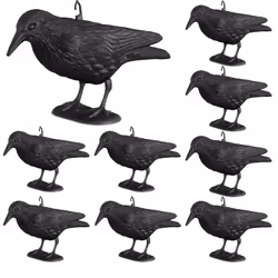 Votre jardin ne plait pas qu’à vous mais également aux autres oiseaux? Merles, moineaux, pigeons : beaucoup d’oiseaux aime dé ...