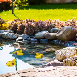 Relaxdays canard en plastique, canetons, nageant, résistant aux intempéries, figure décorative, mare, jardin, jaune-noir
