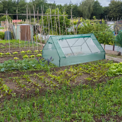 Serre de jardin Serre de balcon Bâche Housse Tente Semis plantes tomates 110x180x150cm - Relaxdays