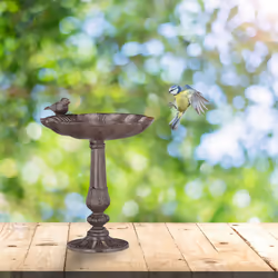 Abreuvoirs en fonte Sur pied, Décoration de jardin, Mangeoire coquillage pour oiseaux sauvages brun - Relaxdays