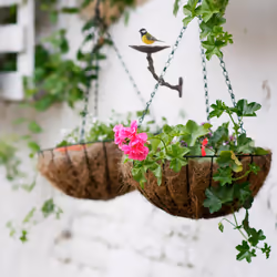 Reaxdays abreuvoir sur mur en fonte,fleurimangeoire hiver brun