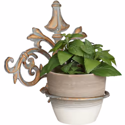 Grâce à ce porte-pot en fonte au style ornemental baroque, vous pouvez mettre en valeur vos plantes à la maison. Les formes f ...