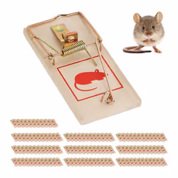 Tapette à souris lot de 120 pièges classiques réutilisables sans poison souricière métal bois nature