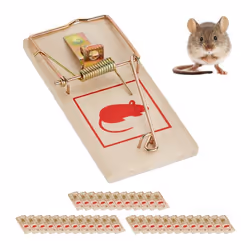 Tapette à souris lot de 36 pièges classiques réutilisables sans poison souricière métal bois nature