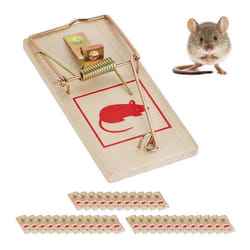 Tapette à souris lot de 36 pièges classiques réutilisables sans poison souricière métal bois nature