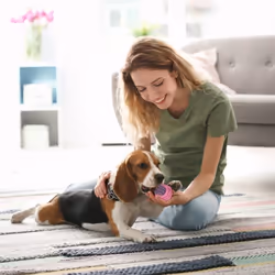 Relaxdays Lot de jouet pour chiens avec 10 pièces, Corde, objet à secouer, pour canin, petits et moyens, colorés
