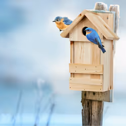 Relaxdays - Nichoir à oiseaux en bois, maison oiseaux à suspendre, mésanges, trou entrée ø 2,8 cm, 25 x 16 x 14 cm, nature