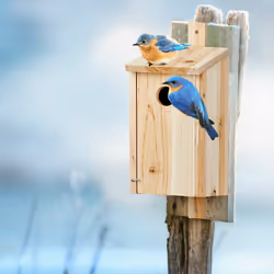 Relaxdays - Nichoir à oiseaux en bois, maison oiseaux à suspendre, mésanges, Trou entrée ø 3,2 cm, 26x12x14,5 cm, nature