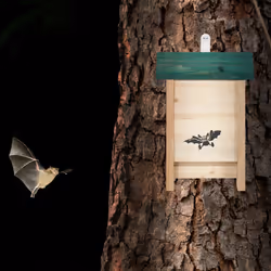 Relaxdays - abri à chauve-souris, Niche en bois non traité de sapin, Maison, Boîte HxLxP : 25,5 x 18 x 6 cm, nature/vert