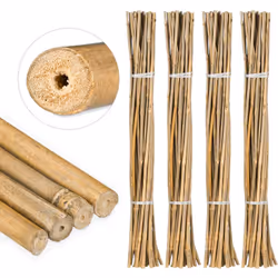 Ces bâtons en bambou naturel en lot de 100 sont les tuteurs idéaux pour vos fleurs et plantes dans le jardin, sur la terrasse ...