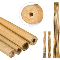 Relaxdays - 75x Tiges en bambou 150 cm, en bambou naturel, bâtons en bambou comme tuteur ou décoration, pour bricoler, nature
