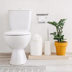 Relaxdays - Porte-papier toilette, avec support, distributeur en inox brossé, montage mural, hlp 8 x 18 x 9,5 cm, argenté
