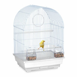 Cage à oiseaux, canaris, perruches, avec perchoirs, balançoire & mangeoires, hlp 49,5 x 34,5 x 31 cm, blanc - Relaxdays