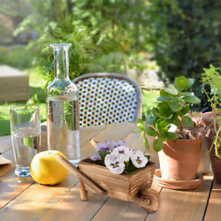 Relaxdays - Brouette pour plantes, jeu de 2, bois brûlé, jardin décoration, vintage, pour plantes,HxlxP 10x22x12 cm