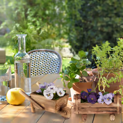 Relaxdays - Bac pour plantes, en bois, jeu de 2, brouette et demi tonneau fleurs