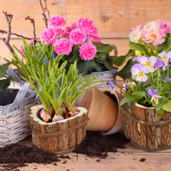 Relaxdays - Bacs à fleurs en bois jeu de 3, pour jardin, pour plantes, sur le balcon et à la fenêtre, 3 tailles, nature