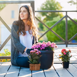 Relaxdays - Bacs à fleurs en bois jeu de 3, pour jardin, pour plantes, sur le balcon et à la fenêtre, 3 tailles, nature