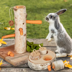 Relaxdays - Arbre à lapin & jouet d'intelligence, lot de 2 accessoires, bois, convient aussi à votre cochon d'Inde, nature