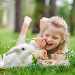 Relaxdays - 2 jouets pour lapin et cochon d'Inde , stimule l'intelligence, bois, favorise l'activité, nature