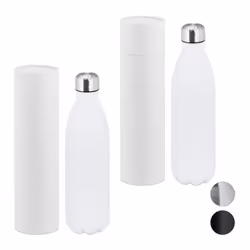 Lot de 2 bouteilles isothermes 1l double paroi sous vide pour  excursions acier inoxydable étanche blanc