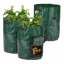 Relaxdays - Sac de plantation en lot de 3, avec fenêtre de visualisation, poignées latérales, HxD : 44 x 33 cm, vert foncé
