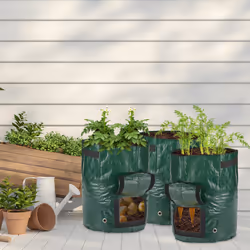 Relaxdays - Sac de plantation en lot de 3, avec fenêtre de visualisation, poignées latérales, HxD : 44 x 33 cm, vert foncé