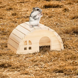 Relaxdays - Maison pour hamster (nain) et souris, en bois, accessoire de cage, h x l x p : env. 10 x 18,5 x 13 cm, nature