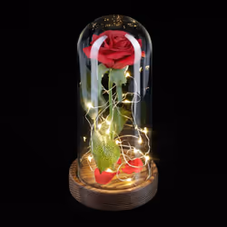Commeaucune autre fleur, la rose rouge symbolise l'amour et l'affection profonde. Larose éternelle sous cloche est le cadeau  ...