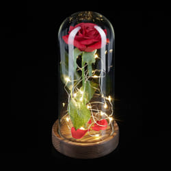 Relaxdays - Rose éternelle sous cloche, avec lumière, cadeau la Belle et la Bête, fleur artificielle, rouge