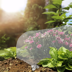 Relaxdays Tunnel de croissance pliable avec arceaux, 3,7 m de long, contre les parasites et les oiseaux, transparent
