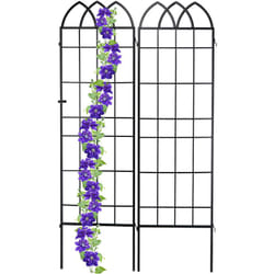 Relaxdays - Treillis de jardin, métal, lot de 2, espalier plantes grimpantes, à planter, clôture, 183 x 51 cm, noir