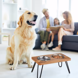 Relaxdays - Gamelle pour chien en set, acier inoxydable, avec support marron en bois d'acacia, 1200 ml, hlp 23x49,5x25 cm