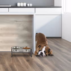 Relaxdays Porte-gamelles pour chiens et chiots, 2 écuelles, chacune ayant un volume de 300 ml, noir/argenté