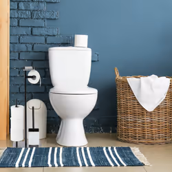 Relaxdays Serviteur WC, porte-papier, balai toilette et porte-brosse, rangement, HLP : 69 x 26 x 18 cm, argenté/noir
