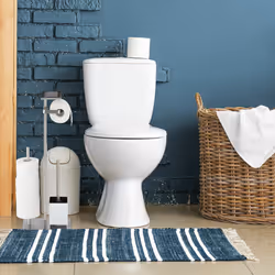 Relaxdays Serviteur WC, avec porte-rouleau, brosse et son support, espace de dépôt, H x L x P : 69 x 25 x 18 cm, argenté