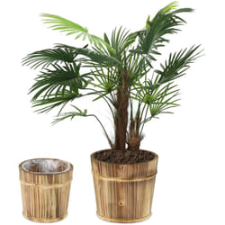 Relaxdays - Pot de fleurs en bois, lot de 2 différentes tailles, ø 24 et 19 cm, pour l'intérieur et l'extérieur, nature
