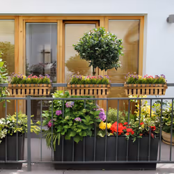 Relaxdays - Jardinières, lot de 3, bois, aspect lattes, rebord de fenêtre et balcon, HxLxP 12 x 45 x 19,5 cm, bac, nature - Vue supplémentaire 5