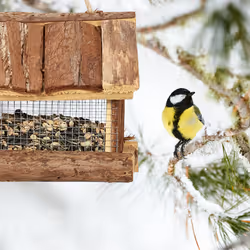 Relaxdays - Mangeoire à oiseaux en bois de sapin, à suspendre, grilles en fer, h x l x p : 19 x 31,5 x 16 cm, nature
