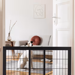 Barrière de sécurité, extensible, escaliers et portes, HxL : env. 56x70-115 cm, pour enfants & chiens, noire - Relaxdays
