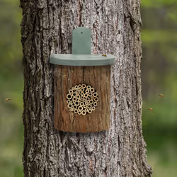 Relaxdays - Hôtel à insectes, nichoir à abeilles sauvages, 26,5 x 17 x 19 cm, jardins, balcons, couleurs nature et verte