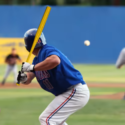 Relaxdays 10039547 batte de baseball