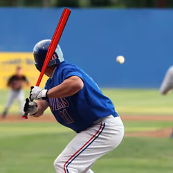 Relaxdays 10039548 batte de baseball