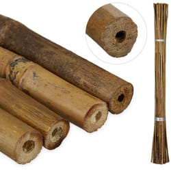 Relaxdays - Tuteur pour plante en bambou, Lot de 40, 105 cm, Aide à la croissance des plantes, Déco, Tiges bambou, naturel