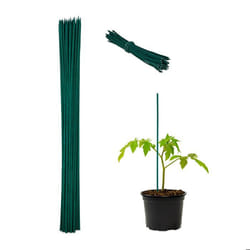 Relaxdays Tuteur à tomates en bambou avec fil de fer en lot de 50 pour les fleurs et les légumes 60 x 06 cm vert