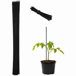 Vous cherchez un moyen de faire croître vos plantes de manière optimale ? Alors ce tuteur en lot de 50 est fait pour vous ! G ...