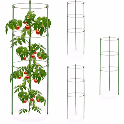 Avec ce lot de 4 tuteurs à tomates, vous pouvez offrir à vos plantes grimpantes le soutien nécessaire pour pousser harmonieus ...