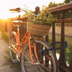 Relaxdays - Antivol à maillons pour vélo, en acier, sûr et robuste, avec support inclus, 2 clefs, 85 cm, pliant, noir